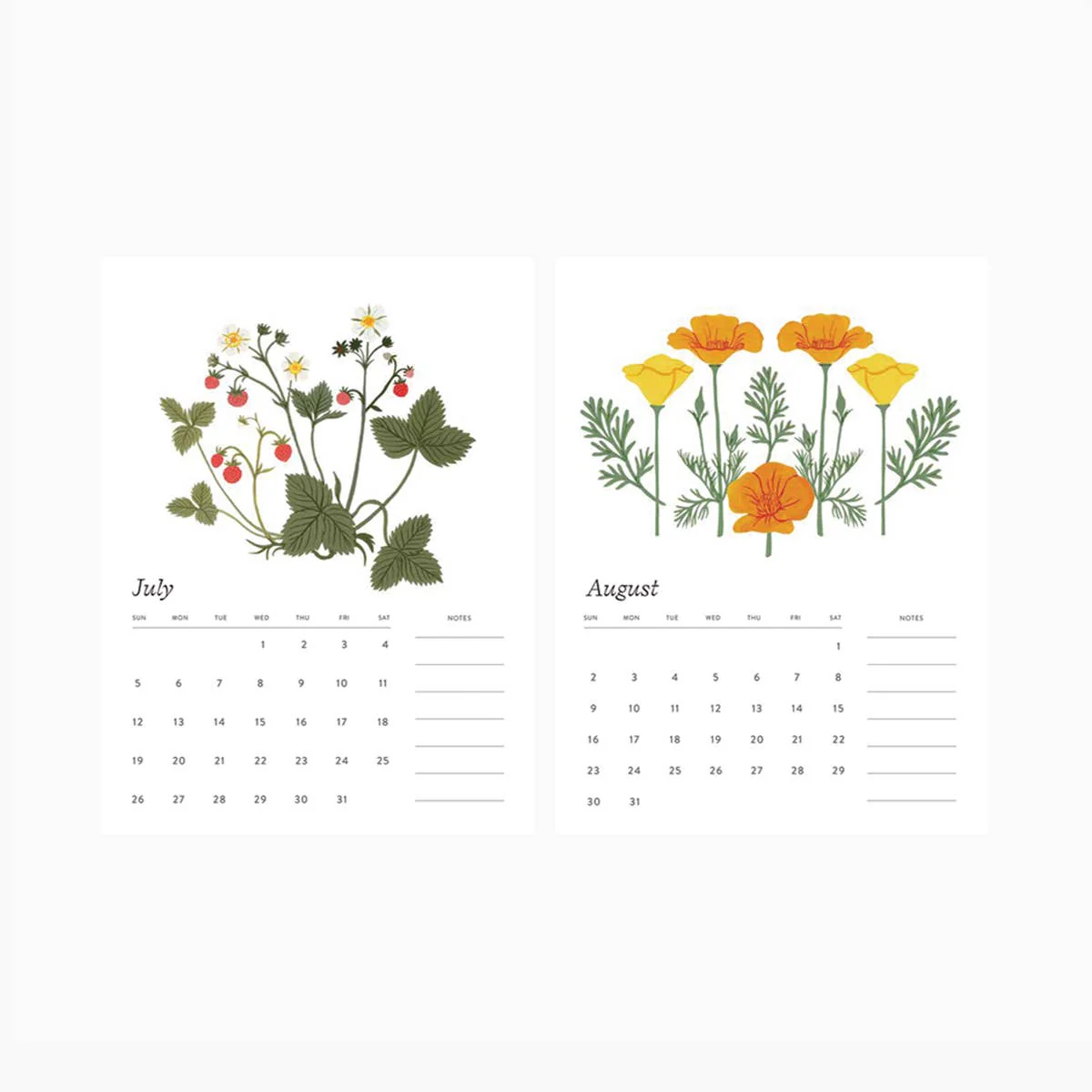 2026 DESK CALENDAR / BOTANIST - Image 4