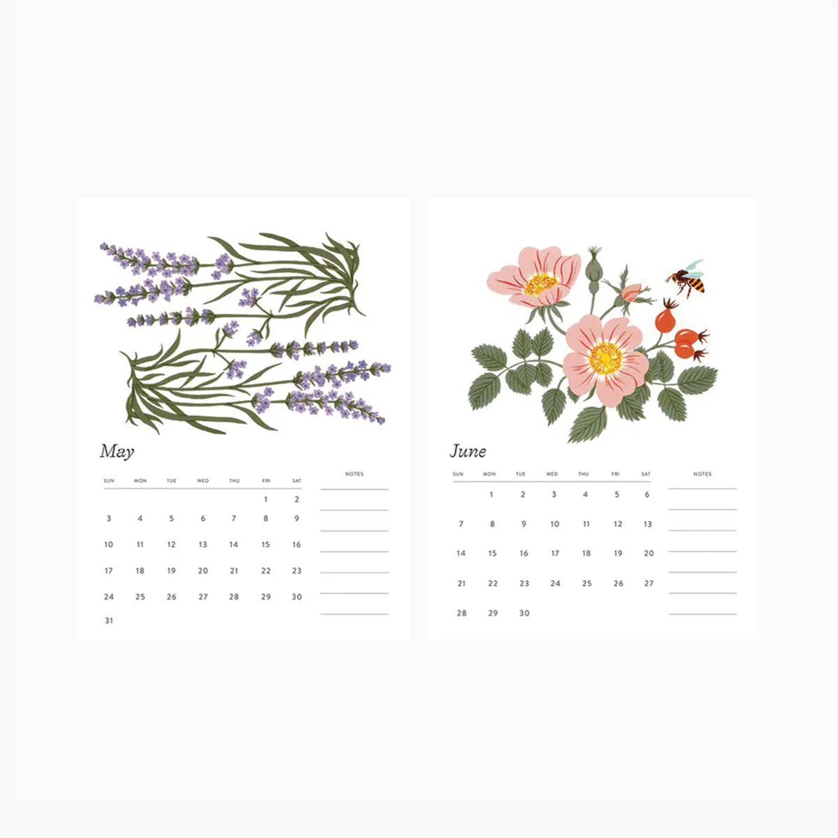 2026 DESK CALENDAR / BOTANIST - Image 5