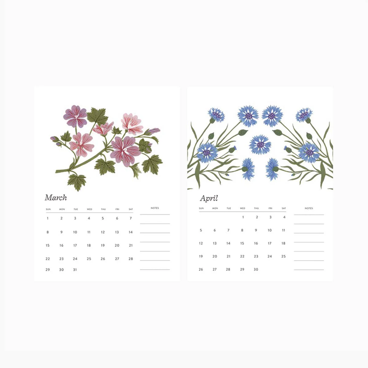 2026 DESK CALENDAR / BOTANIST - Image 6