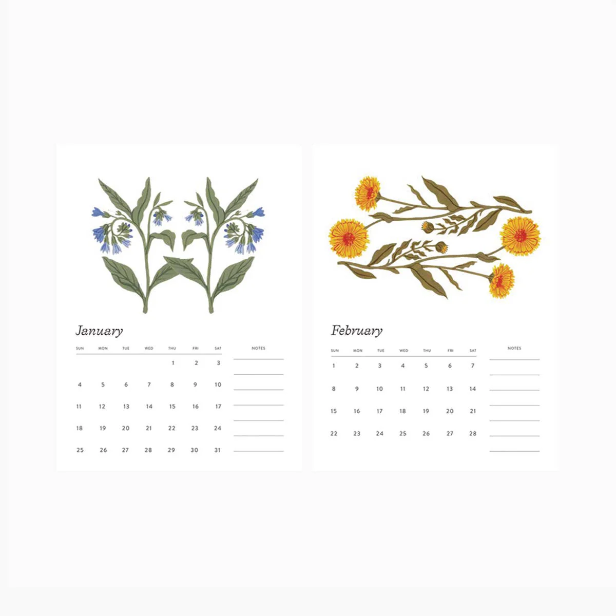 2026 DESK CALENDAR / BOTANIST - Image 7
