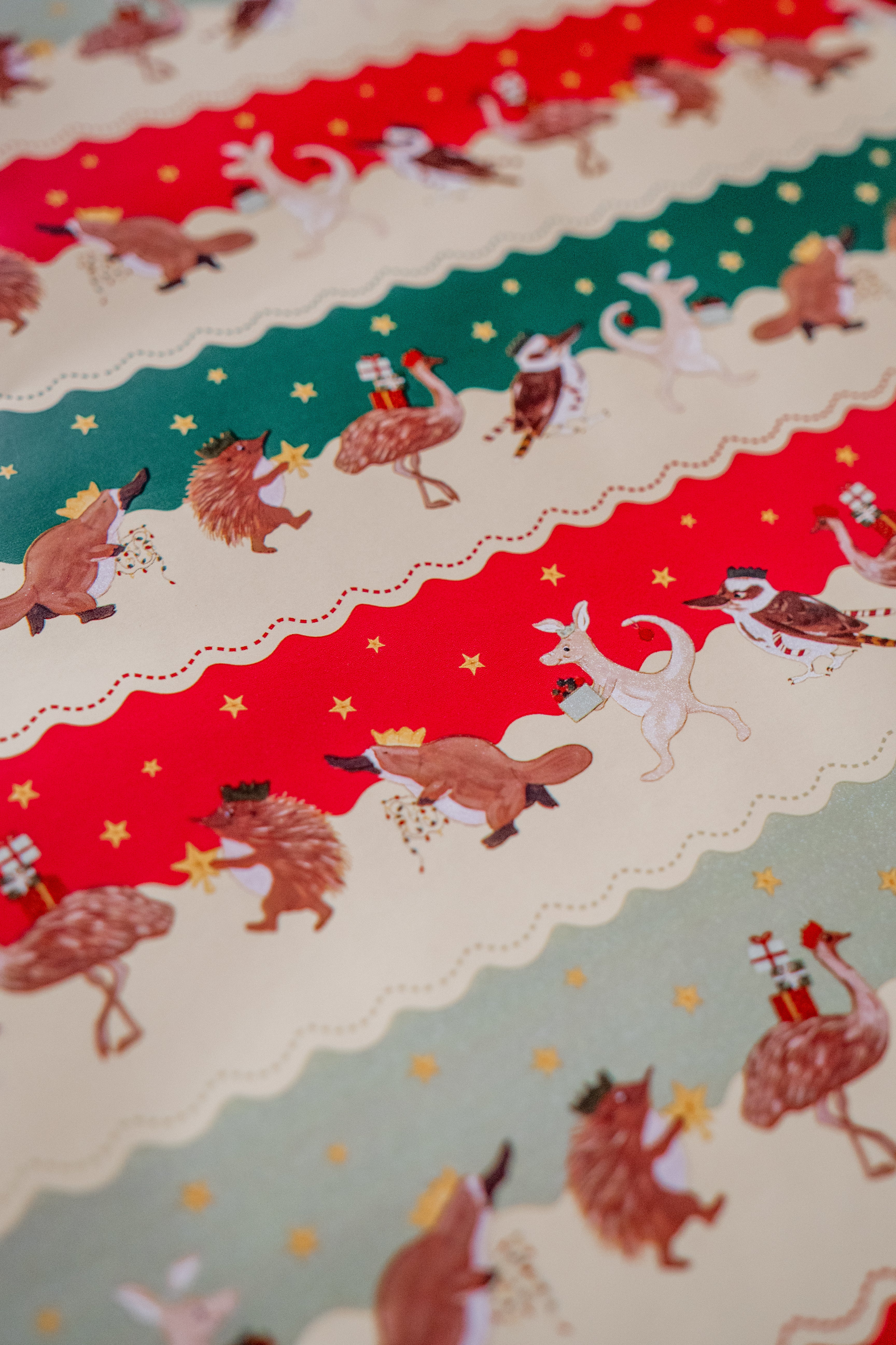 Wrapping Paper | Aussie Bush Christmas Party - Image 4