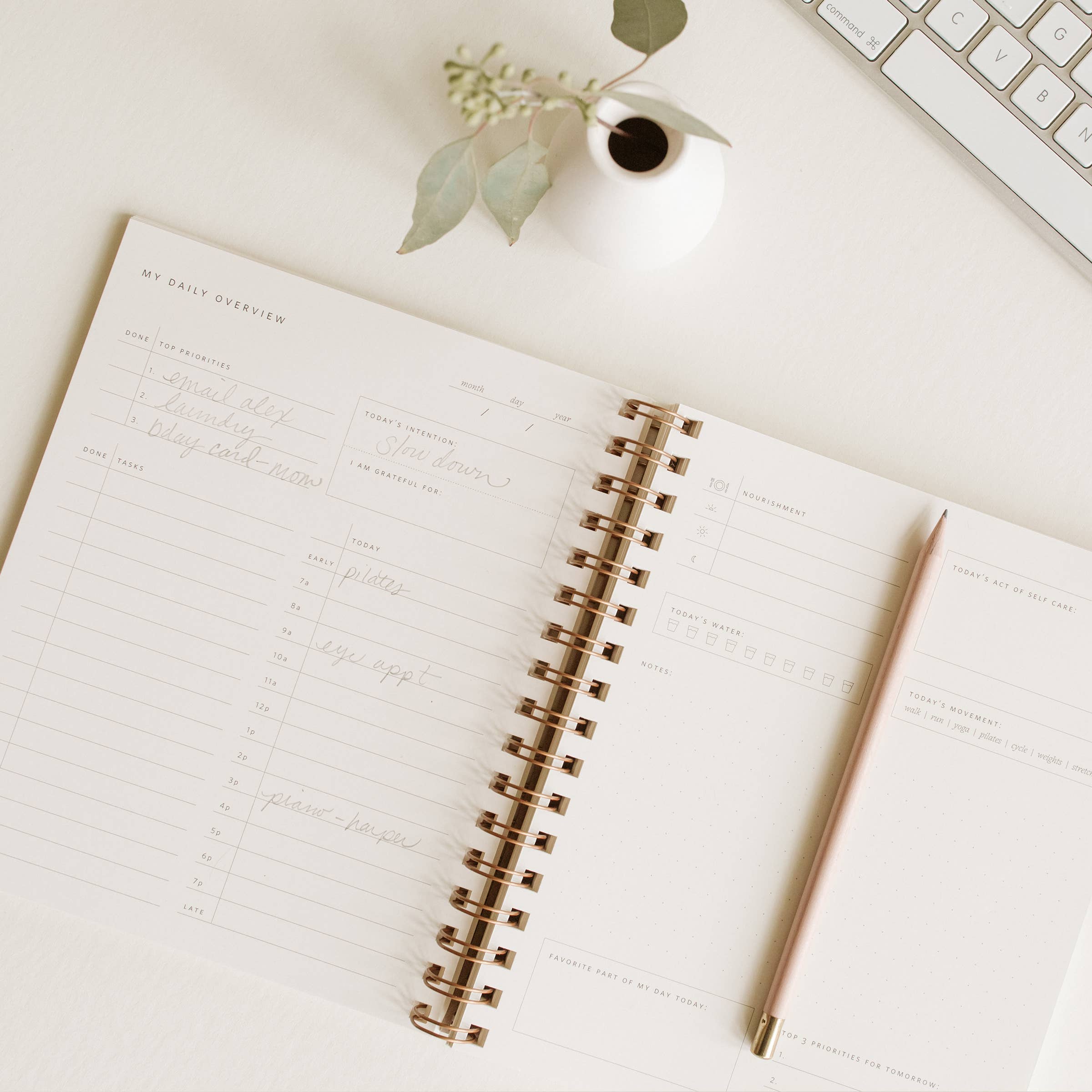 Ramona & Ruth | Daily Overview Planner | Fern - Image 3