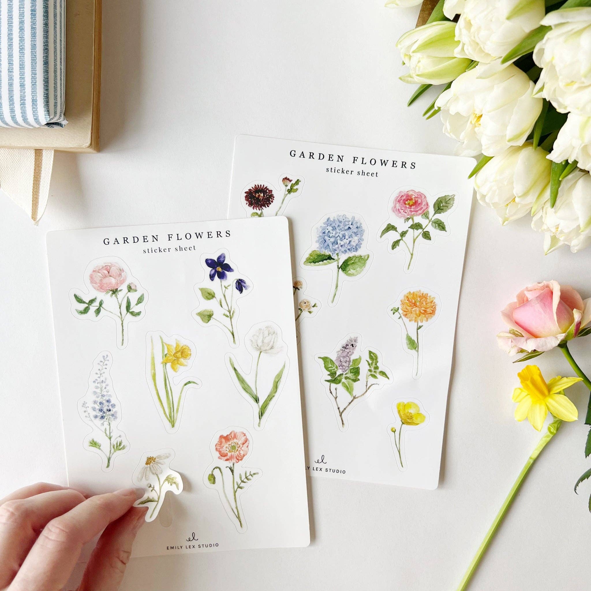 Emily Lex | Garden Flowers Sticker Sheets - Image 4