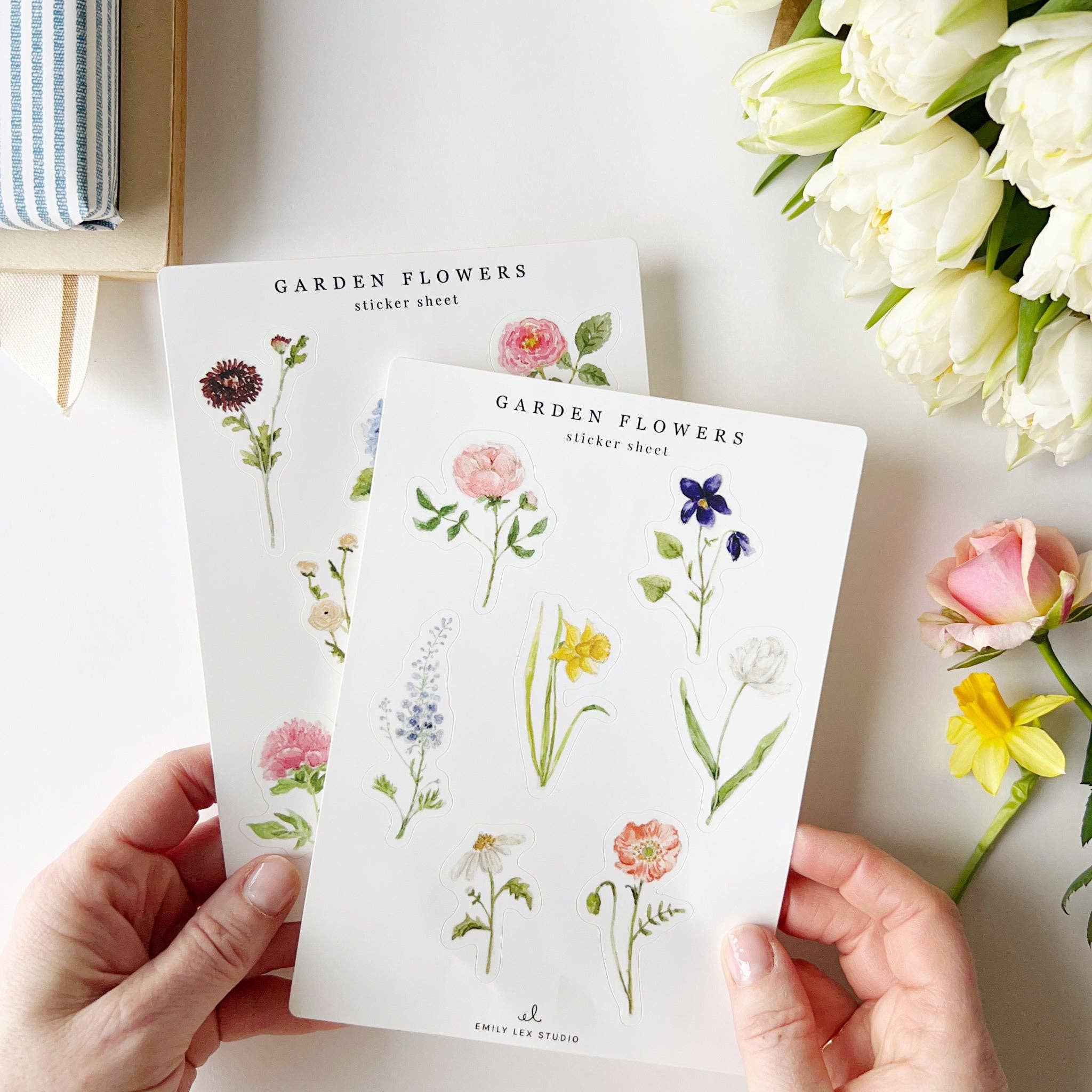 Emily Lex | Garden Flowers Sticker Sheets - Image 5