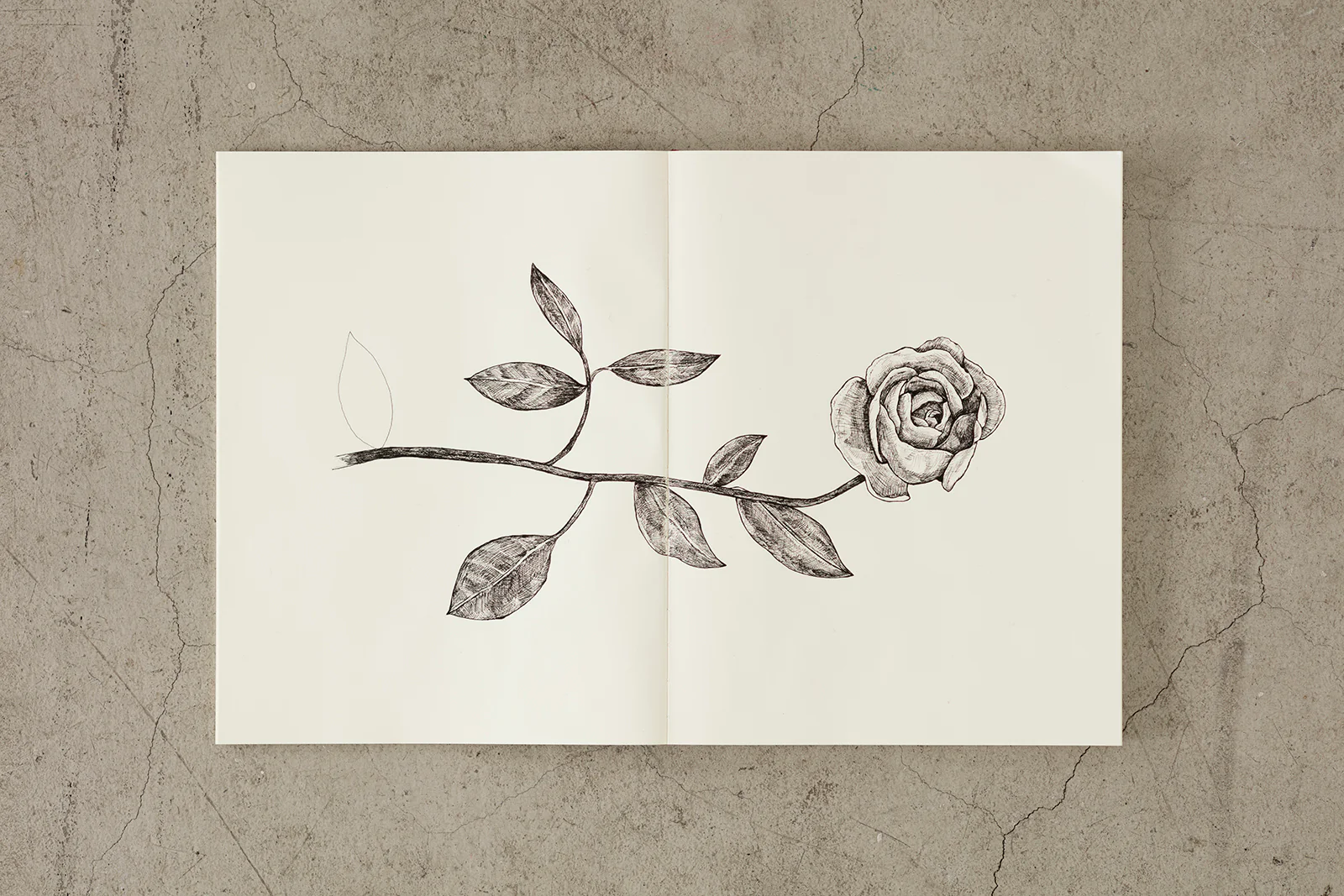 MD Notebook | A5 - Dot/Grid/Lined/Blank - Image 5