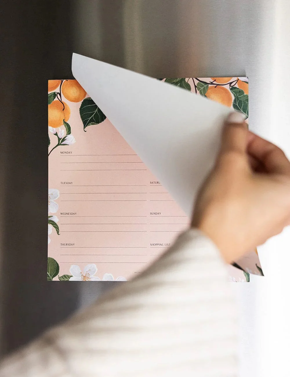 MEAL PLANNER NOTEPAD - PEACHES - Image 4