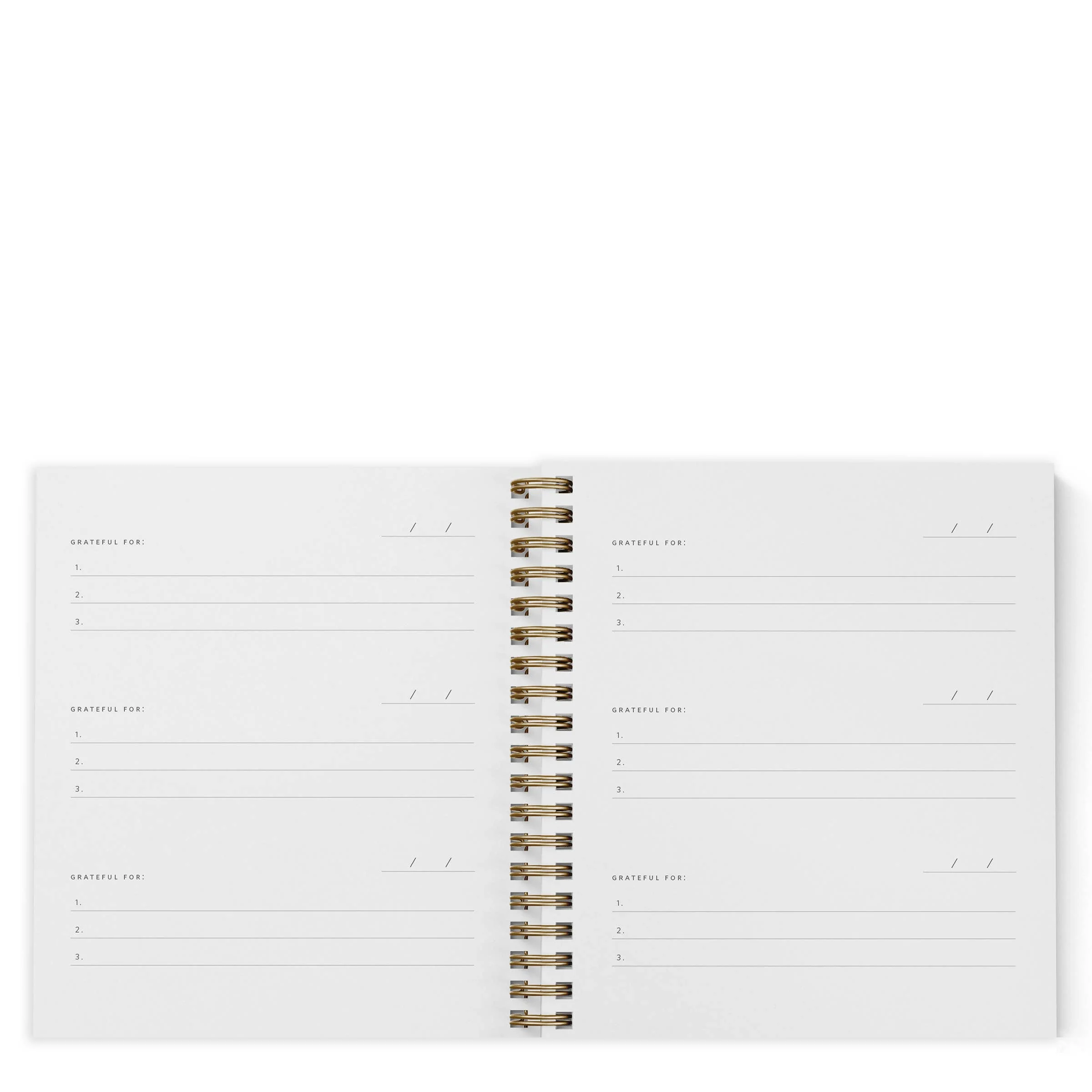 Ramona & Ruth | Mini Gratitude Journal - Image 4