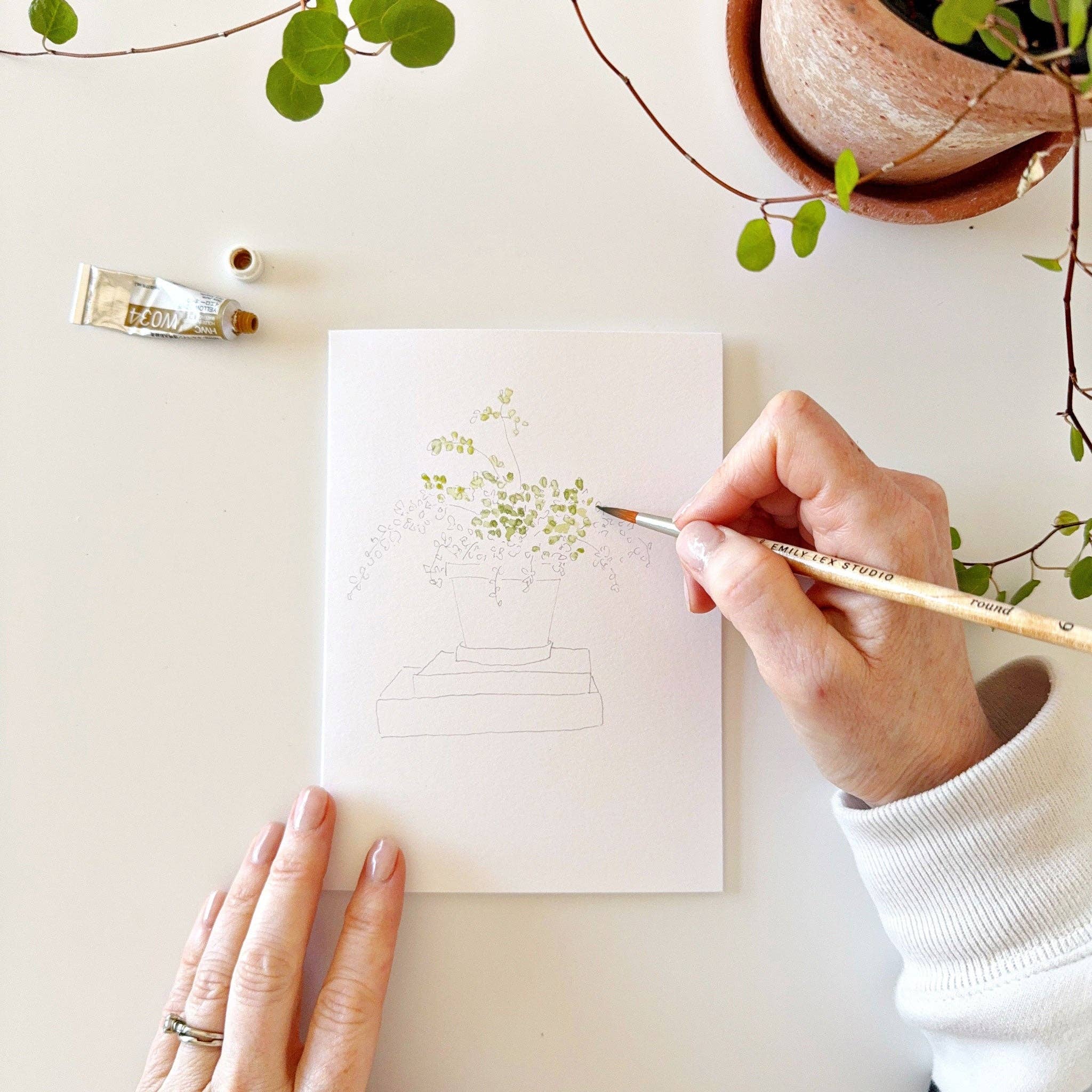 emily lex | Potted Plants Paintable Notecards - Image 10