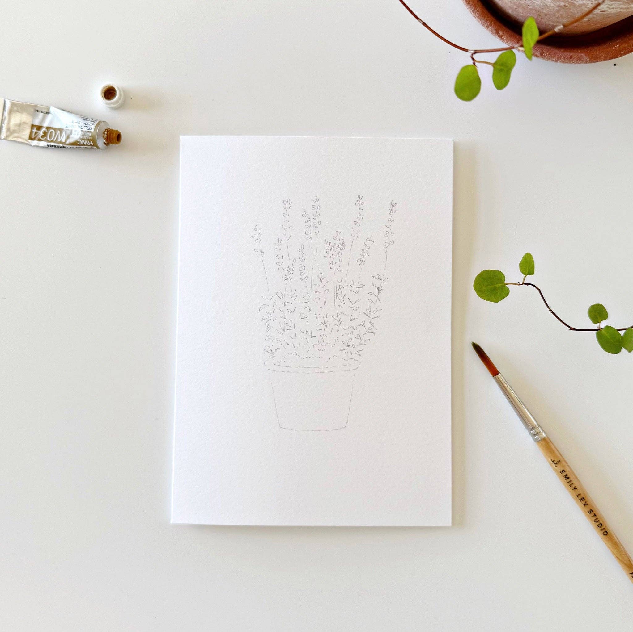 emily lex | Potted Plants Paintable Notecards - Image 5