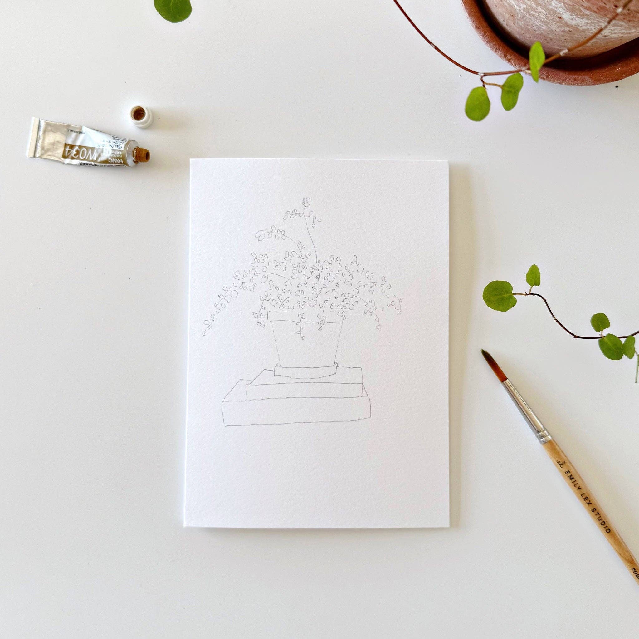 emily lex | Potted Plants Paintable Notecards - Image 6