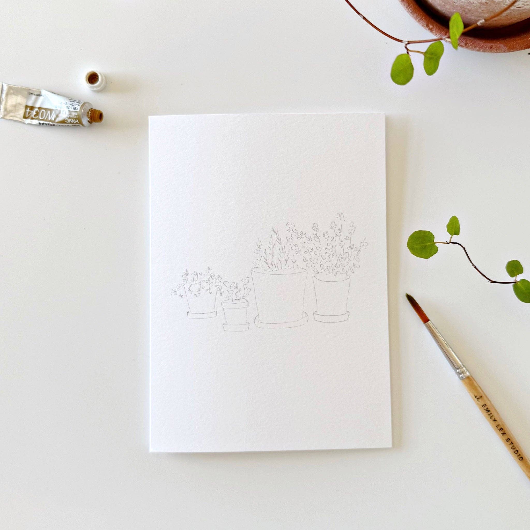 emily lex | Potted Plants Paintable Notecards - Image 7